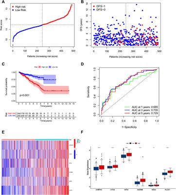 A novel signature based on pyroptosis-related genes for predicting prognosis and treatment response in prostate cancer patients